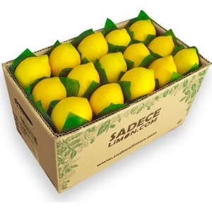 Sadece Limon Lamas Limon