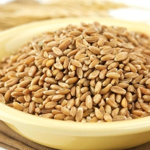 Ayvalık Baharat Buğday Tavuk Güvercin Yemi 2 Kg