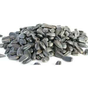 Ayvalık Baharat Papağan Çekirdek Yemi 1 Kg Ufak Taneli