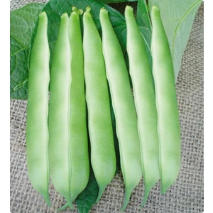 Fasulye (Oturak) 50 Gram