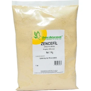 Doğan Bahart Toz Zencefil 1KG Pkt