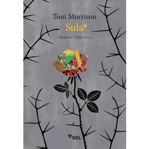 Sula - Toni Morrison