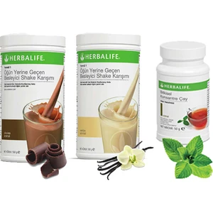 Shake Karışımı - 1 Vanilya - 1 Çikolata - 1 Klasik Çay 100 gr