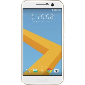 10 (İthalatçı Garantili) Altın