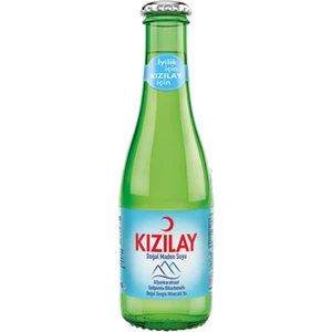 Sade Soda 200 ml Cam 24 Adet