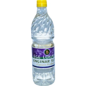 Ege Lokman Enginar Suyu 1 lt