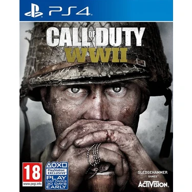 Activision Call Of Duty WWII PS4