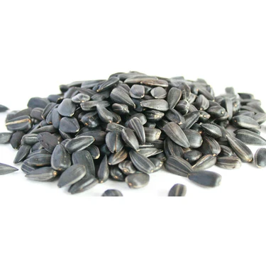 Ayvalık Baharat Papağan Çekirdek Yemi 500 Gr Ufak