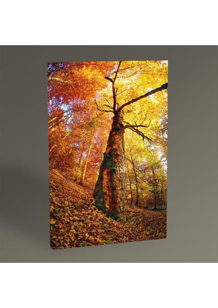 - Ağaç Tablo 30x20