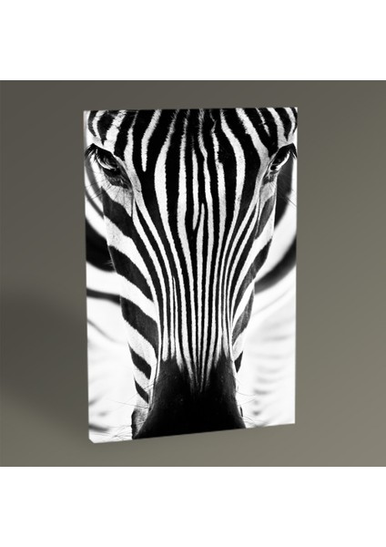 - Zebra Tablo 30x20