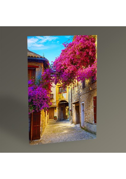 - Provence Tablo 60X40