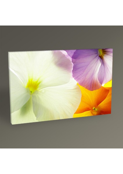 - Colorful Flowers II Tablo 150x100