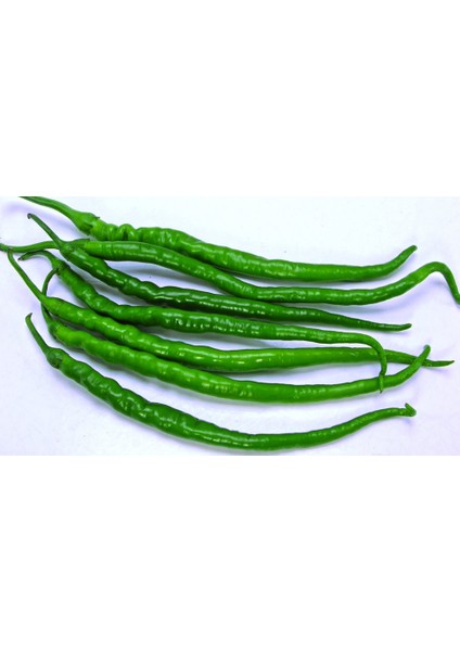 Acı Kıl Biber 10 Gram
