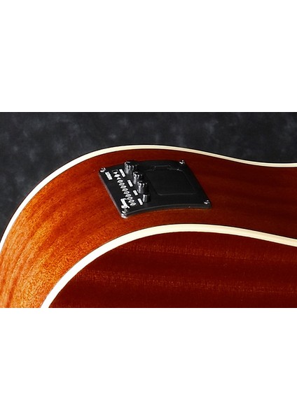 Pf15Ece-Nt Elektro Akustik Gitar -
