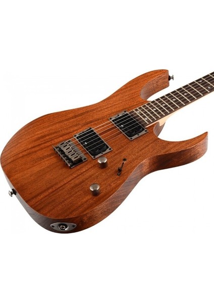 Rg421 Mol Elektro Gitar - fiyatları