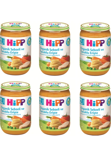 HiPP Organik Sebzeli Ve Tavuklu Erişte 220 gr. 6 Adet