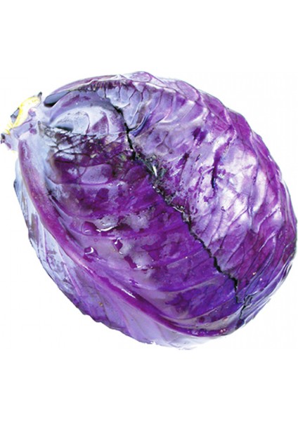 Kırmızı - Mor Lahana 10 Gram