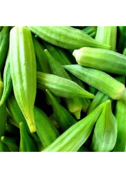 Sultani Bamya 10 Gram