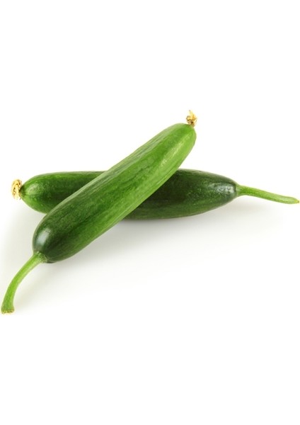 Çengelköy Salatalık 10 Gram