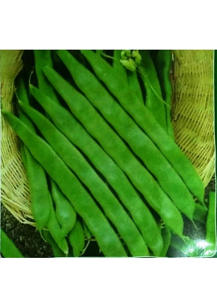 Fasulye (Geniş Helda) 50 Gram