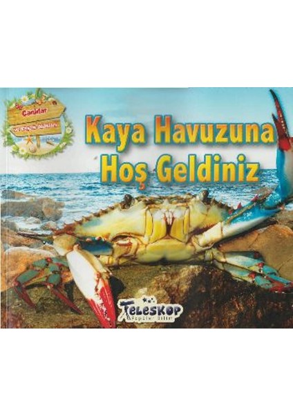 Kaya Havuzuna Hoş Geldiniz - Ruby Tuesday Books