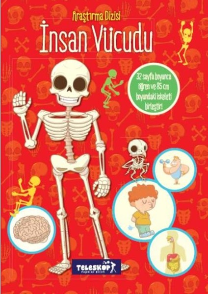 İnsan Vücudu - Ballon Medıa