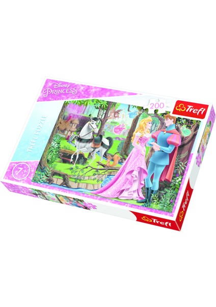 200 Disney Princess,Meeting in The For