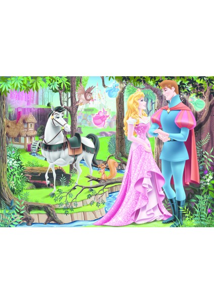 200 Disney Princess,Meeting in The For fiyatları