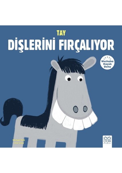Merhaba Küçük Deha:Tay Dişlerini Fırçalıyor