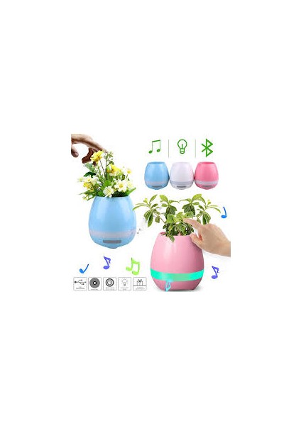 Music Flower Pot Mavi