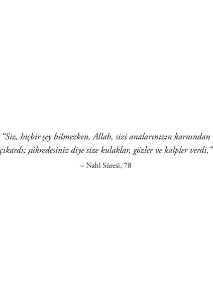 Şu Acayip Kulaklar