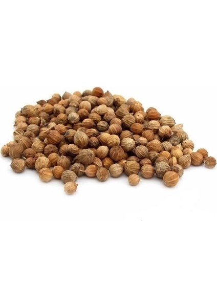 Tane Kişniş 100 Gr.