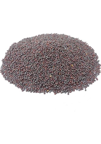 Siyah Hardal Tohumu 100 Gr.