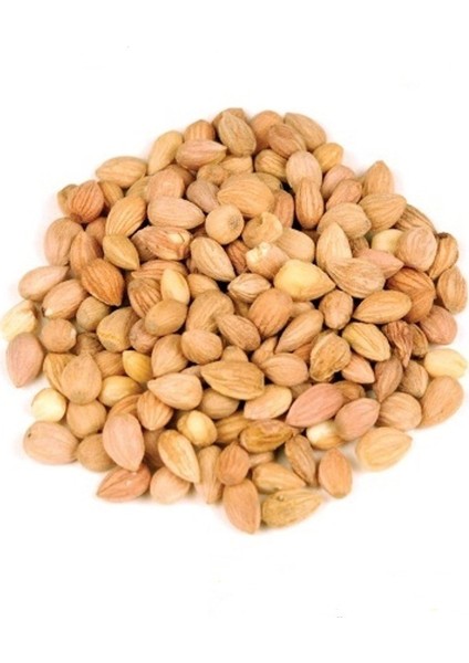 Tane Mahlep 100 Gr.