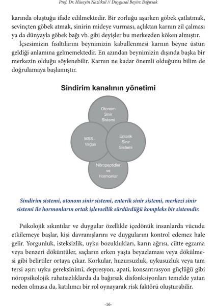 Duygusal Beyin: Bağırsak - Hüseyin Nazlıkul