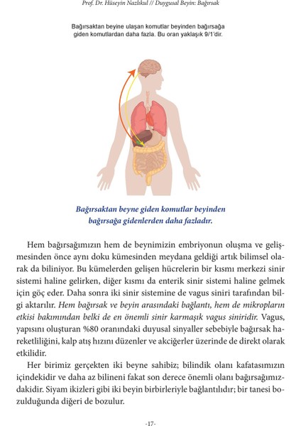 Duygusal Beyin: Bağırsak - Hüseyin Nazlıkul