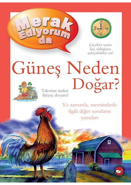 Merak Ediyorum Da - Güneş Neden Doğar? - Brenda Walpole