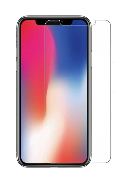 Apple iPhone X Glass Ekran Koruyucu Cam