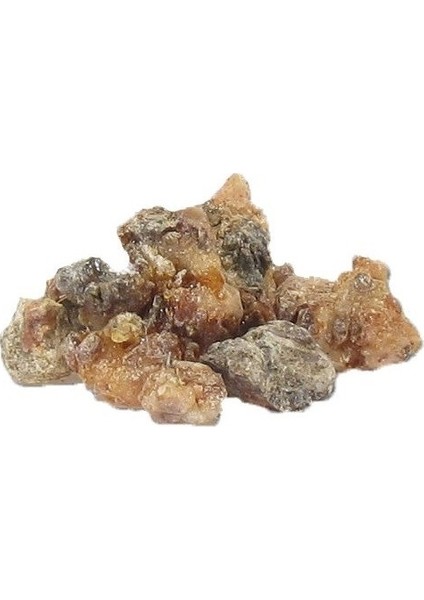 Çam Sakızı 100 Gr.