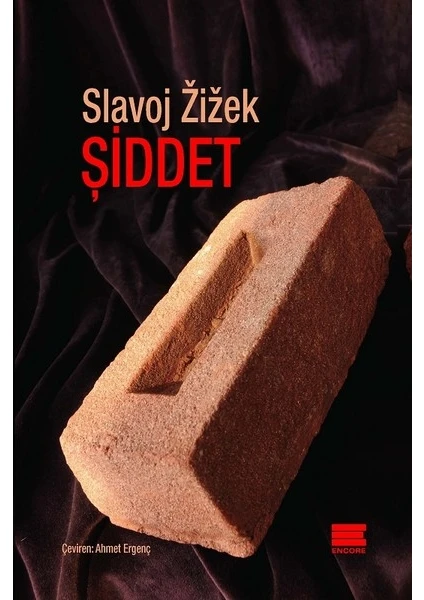 Şiddet - Slavoj Zizek