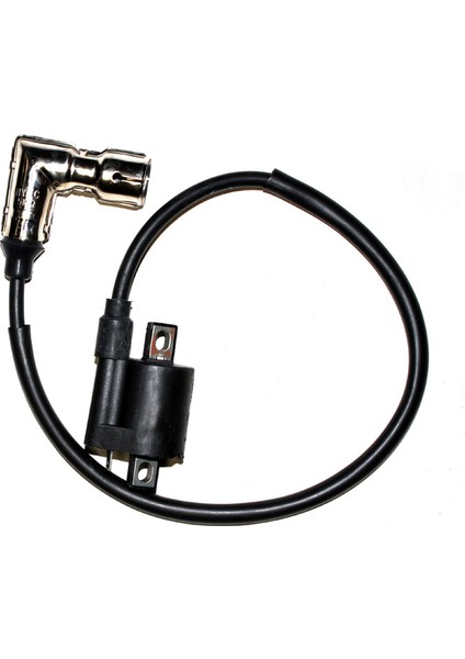 Agk Cg 125 Dış Ateşleme Bobini