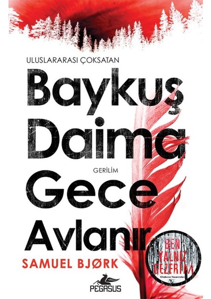 Baykuş Daima Gece Avlanır - Samuel Bjork