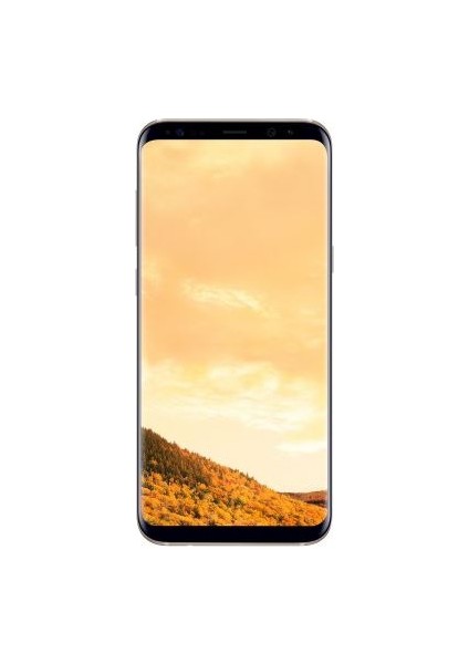 Galaxy S8 Plus Dual Sim (İthalatçı Garantili) Altın