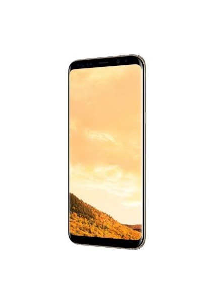 Galaxy S8 Plus Dual Sim (İthalatçı Garantili) Altın indirimleri