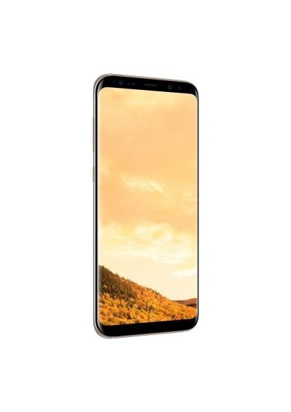 Galaxy S8 Plus Dual Sim (İthalatçı Garantili) Altın