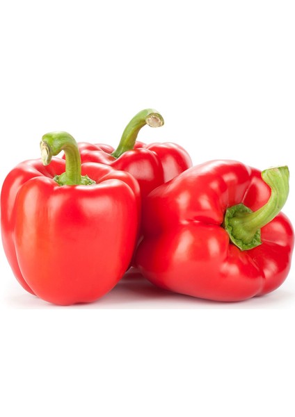 California Wonder Dolma Biber 15 Tohum
