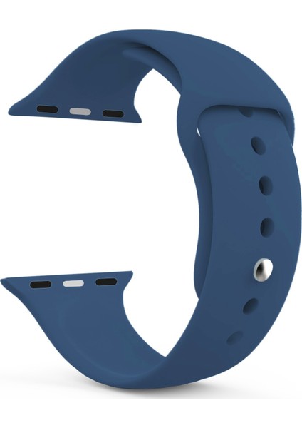 Apple Watch Uyumlu Series 3 42mm Silikon Kordon
