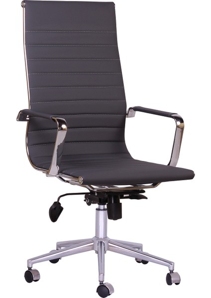 Yönetici Ve Müdür Koltuğu Nova