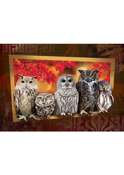 1000 Parça Gece Avcıları fiyatları