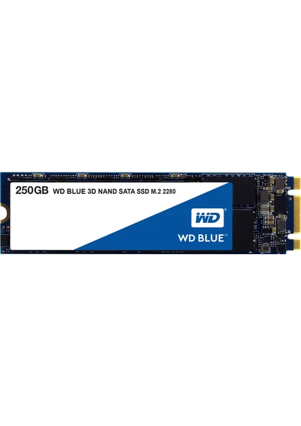 Wd Sata Blue 250GB M.2 SSD